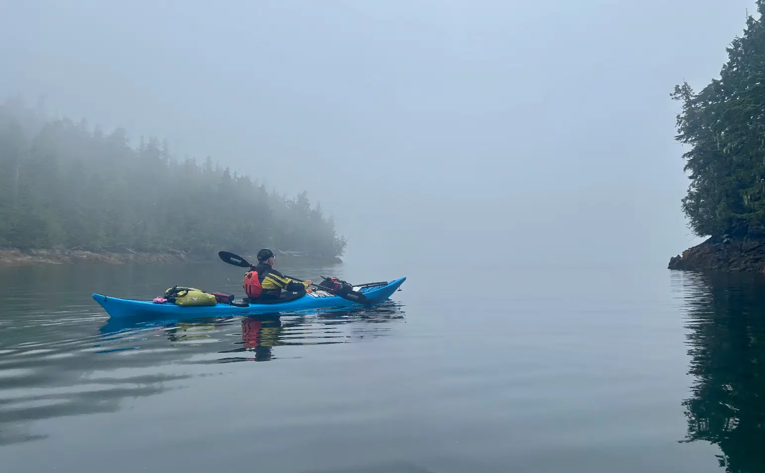 Read more about the article The Great Bear Rainforest–Musings of a Newbie Kayaker